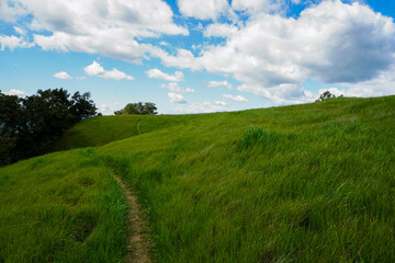 Grass Covered Ridge Lines and Hills
