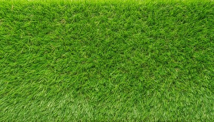 textura de grama verde 