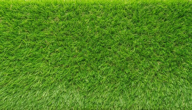 textura de grama verde 