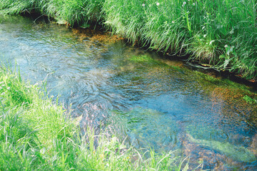 5月に見る美しい忍野八海