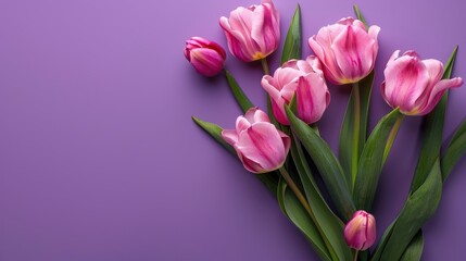Fototapeta premium Delicate pink tulips bouquet on purple background concept for a celebration with room for text