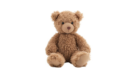 Obraz premium small stuffed bear sitting isolated on transparent background