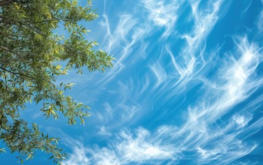 A serene blue sky with wispy white clouds drifting gently.