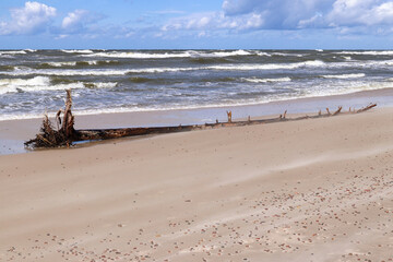 Baltic Sea coast and wild beach next to moving dunes in the Slovincian National Park, Poland