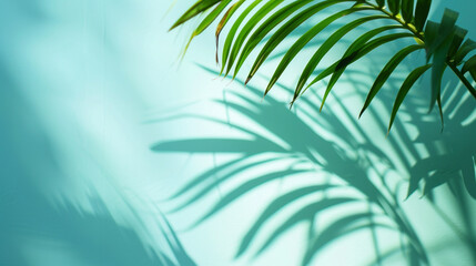 Palm Leaf Shadows, Minimal Abstract Background