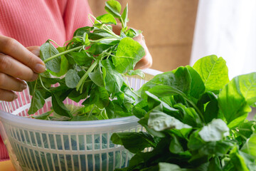 Preparing spinach for cooking involves trimming the stems and sorting through the leaves to select...