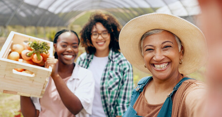 Farm, selfie and women in a greenhouse for vegetable harvest, agriculture or small business....