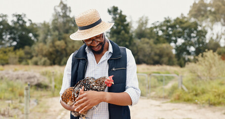 Walking, chicken and black man on a farm, smile and bonding with agriculture, sustainability and...