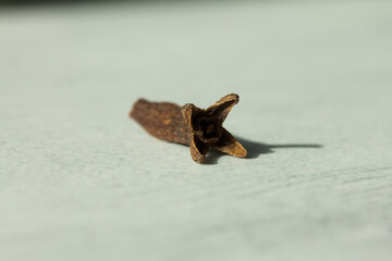 Macro photography of cloves. Concept of natural ingredients