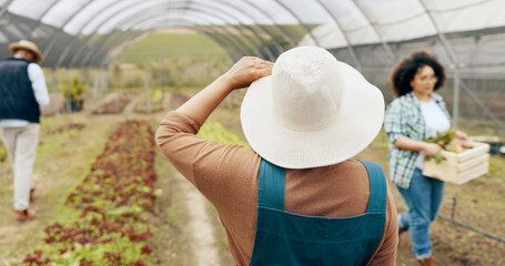 Agriculture, greenhouse farming and back of woman with sustainable business in nature for quality...