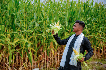 In a cornfield, a young Indian farmer