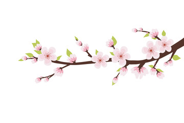 branch tree, cherry blossom spring flower Japan, Branch of blooming sakura with flowers, cherry blossom