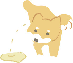 足を上げておしっこをする犬　柴犬