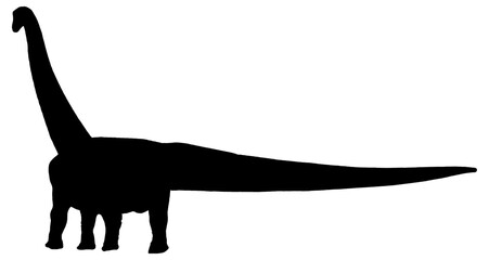 Panoramic titanosaur side view isolated graphic © DFLC