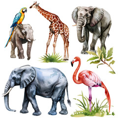 Watercolor illustration of African Animals: elephant and monkey, cockatoo, wild parrot and giraffe, flamingo isolated white background. Safari savannah animals. 