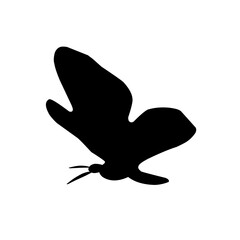 Butterfly Silhouette