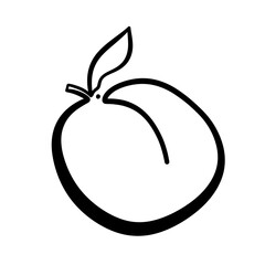 An amazing plum depicted in one continuous line. Perfect for modern design projects and aesthetic posters