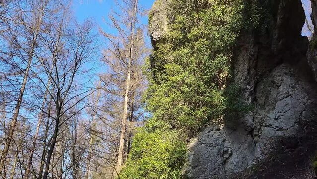 Das Felsenschloss bei Wunkendorf ist ein nat&uuml;rlich entstandener Natursteinbogen. Die Felsformation ist durch Erosion entstanden, also ein beeindruckendes Naturwunder.