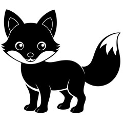 black and white cat