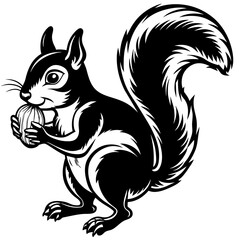 squirrel with nut