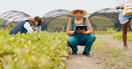 Woman, tablet and inspection or teamwork for agriculture production, supply chain or quality...