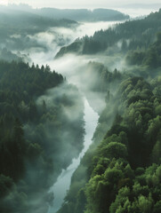 Mysterious fog veils a dense forest and river in a serene, lush valley at dawn.