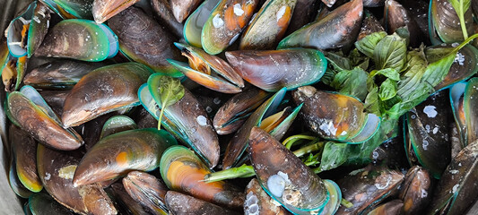 Frozen mussel in the shell. Freshly-frozen mussels in shells . The mussel in the sink is ready to be cooked. Plate with mussels. Mussel shells lie on the plates. Fresh mussels. Top view.