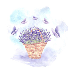 Lavender and flying butterflies. Floral bouquet in vintage wicker basket. Hand drawn watercolor illustration of Provence spring flowers, herb Isolated template for card, tableware, textile, embroidery