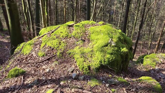 Das Felsenschloss bei Wunkendorf ist ein nat&uuml;rlich entstandener Natursteinbogen. Die Felsformation ist durch Erosion entstanden, also ein beeindruckendes Naturwunder.