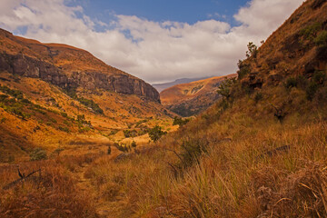 Drakensberg Mountain Scene 15786