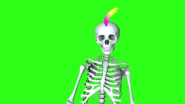 A punk skeleton with a bright mohawk walks like a zombie towards the camera on a green screen. Looped 3D animation. Halloween and horror concept. Funny skeleton.