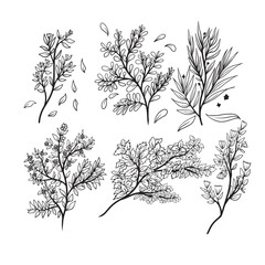 set of silhouettes of trees