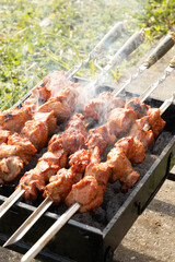 shish kebab shashlik on the grill