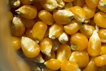 Macro photo of raw corn inside a glass jar.