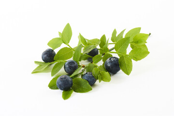 Fresh Blueberries with Green Leaves on White Background