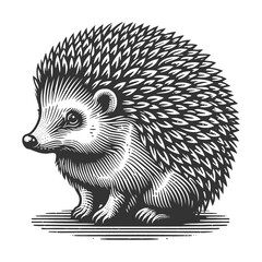 hedgehog, showcasing its detailed spines and curious expression sketch engraving generative ai vector illustration. Scratch board imitation. Black and white image.