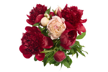 Lush arrangement of red and pink peonies with green leaves on white background