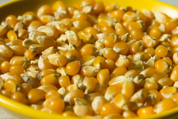 Photograph of top view of raw pop corn.