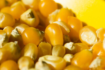 Macro photo of raw pop corn.