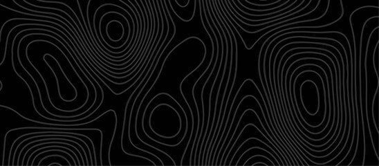 Fototapeta premium Abstract black background paper cut style with white wave curve line Luxury concept. Panorama view topography map contour background. Vector illustration. Line topography map contour background.