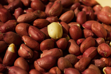 Macro photography of peanut background. Natural food concept.