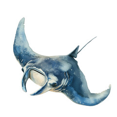 Transparent background manta ray sea fish watercolor PNG