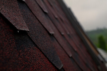 A close-up of a red roof after rain, showcasing the quality of your roofing or renovation work....
