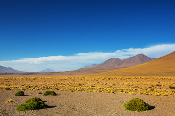 Northern Argentina