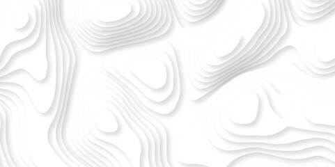 Abstract white paper cut template.  white papercut background. Topographic dynamic backdrop illustration. 