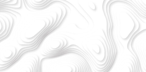 Fototapeta premium Abstract white paper cut template. white papercut background. Topographic dynamic backdrop illustration. Papercut topography relief vector background illustration. 
