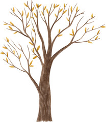 Colored pencil illustration of an autumn tree, perfect for seasonal designs, greeting cards, art projects, home decor, scrapbooking, and educational materials. 
