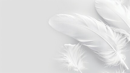 Obraz premium Bright colorful pattern, texture of gray feathers. A beautiful abstraction of colorful feathers.