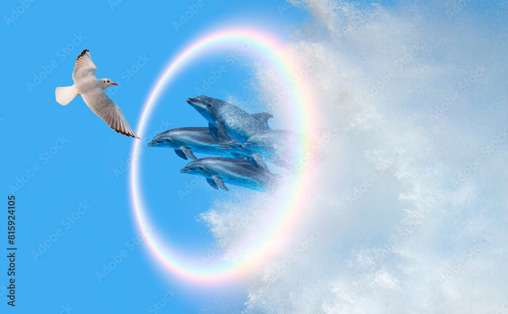 Aufkleber group of dolphins jumping up from the sea and seagull rounded rainbow in the background