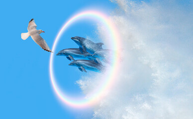 Group of dolphins jumping up from the sea and seagull rounded rainbow in the background 